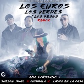 Los Euros, los Verdes y los Pesos (feat. Shelow Shaq, Chimbala & Lirico en la Casa) [Remix] artwork