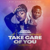 Take Care of You (feat. Stonebwoy) artwork