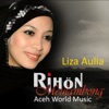 Rihon Meulambong (Aceh World Music), 2011
