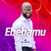 Ebebamu artwork