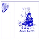 Great Big, Beautiful Black Hole by Swan Coven