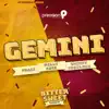 Gemini (Afrobeat 2020) - Single album lyrics, reviews, download