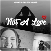 Not a Love (feat. Maggie) artwork