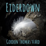 Gordon Thomas Ward - Piety of Thieves (feat. Eric Troyer)