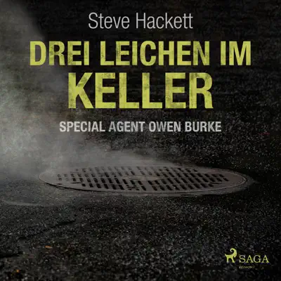 Folge 1: Drei Leichen im Keller: Special Agent Owen Burke (Ungekürzt) - Steve Hackett