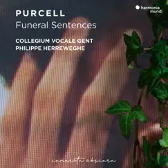 Purcell: Funeral Sentences by Collegium Vocale Gent & Philippe Herreweghe album reviews, ratings, credits