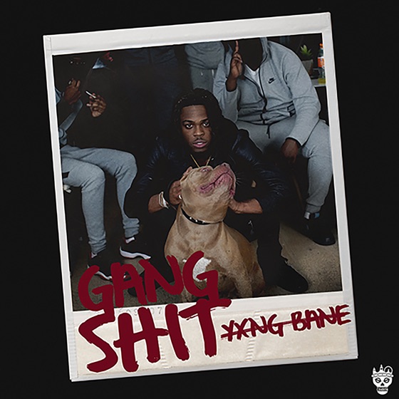 Cover artwork for Gang Shit