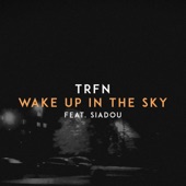 Wake up in the Sky (feat. Siadou) artwork