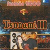 Tsunami III, 2008