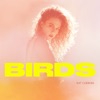 Birds - Single