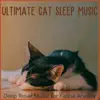 Ultimate Cat Sleep Music: Deep Relief Music for Feline Anxiety album lyrics, reviews, download