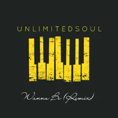 Wanna Be (Remix) - Single by UNLIMITED SOUL album reviews, ratings, credits
