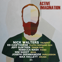 Nick Walters - Active Imagination artwork