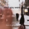 Wish You Were Gay - Single