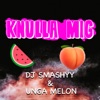 Knulla mig by DJ Smashyy iTunes Track 1