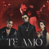 Te Amo (feat. India Martínez) artwork
