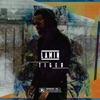 Lamin - Tiger