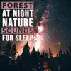 Forest at Night - Nature Sounds for Sleep album lyrics, reviews, download