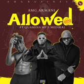 Allowed (feat. Medikal & Quamina MP) artwork