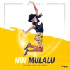 Ndi Mulalu - Single
