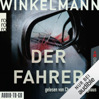 Andreas Winkelmann - Der Fahrer: Kerner und Oswald 3 artwork