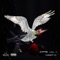 BNS - Deep C lyrics