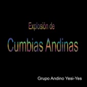 Explosión de Cumbias Andinas artwork