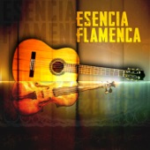 Esencia Flamenca artwork