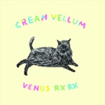 Cream Vellum - Tiger Song