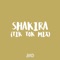 Shakira - Kevo DJ lyrics