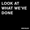 Look at What We've Done - Single