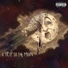 A Trip to the Moon