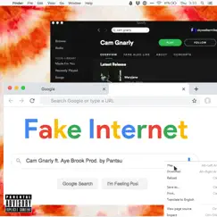 Fake Internet (feat. Aye Brook) - Single by Cam Gnarly album reviews, ratings, credits