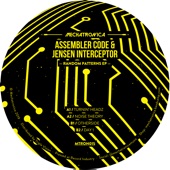 Assembler Code - Otherside