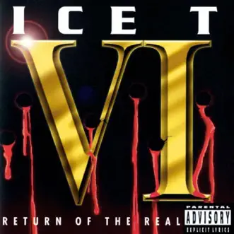 VI: Return of the Real by Ice-T album reviews, ratings, credits