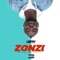 Zonzi artwork