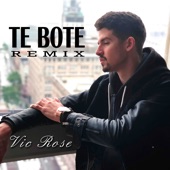 Te Boté Remix artwork