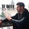 Te Boté Remix artwork