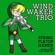 Wind Waker Trio (feat. Michelle Eng & Nikki Francisco) - String Player Gamer
