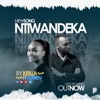 Ntiwandeka (feat. Adrien) - Single