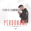 Perdóname - Single