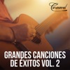 Grandes Canciones de Éxitos, Vol. 2