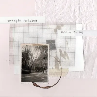 Habitación 205 - Single - Tobogán Andaluz
