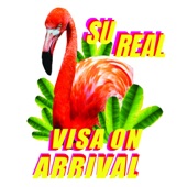 Visa on Arrival artwork