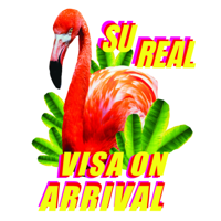 Su Real - Visa on Arrival artwork