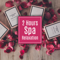 Spa Massage Solution - 2 Hours Spa Relaxation: Calm Mind Music, Perfect Evening Bath, Heal Your Body from the Daily Stress, Massage, Top of the USA, Summer Rest 2019 artwork