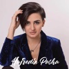 Hajredin Pasha - Single