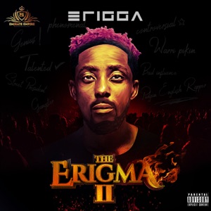 The Erigma II