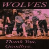 Thank You, Goodbye - EP