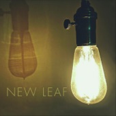 New Leaf - Johnny Todd